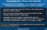 Long-term Outcomes Following Infrapopliteal Angioplasty for Critical Limb Ischemia