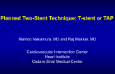 Case 6: Planned Two-Stent Technique: T-Stent or TAP?