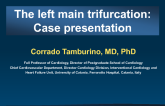 Case 8: The Left Main Trifurcation