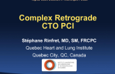 Complex Retrograde CTO PCI(2)