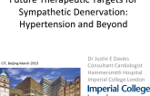 Future Therapeutic Targets for Sympathetic Denervation: Hypertension and Beyond