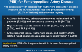Two-Year Results of Paclitaxel-Eluting Balloons (PEB) for Femoropopliteal Artery Disease
