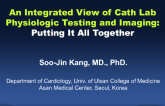 An Integrated View of Cath Lab Physiologic Testing and Imaging: Putting It All Together