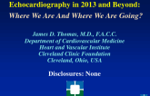 Echocardiography in 2013 and Beyond: Where We Are and Where We Are Going