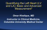 Quantifying the Left Heart (LV and LA): Basic and Advanced Measurements