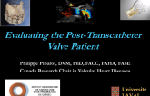 Evaluating the Post-Transcatheter Valve Patient