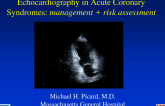 Echocardiography in Acute Coronary Syndromes: Management and Risk Assessment