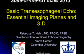 Basic Transesophageal Echo: Essential Imaging Planes and 3-D