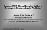 Advanced TEE: Clinical Decision Making in Cryptogenic Stroke and Atrial Fibrillation