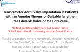 Transcatheter Aortic Valve Implantation in Patients with an Annulus Dimension Suitable for either the Edwards Valve or the CoreValve