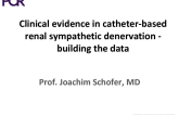 Clinical evidence in catheter-based renal sympathetic denervation - building the data