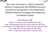 One-Year Outcomes in 1010 Unselected Patients Treated with the PROMUS Element Everolimus-Eluting Stent: The Multicenter PROMUS Element European Post-Approval Surveillance Study