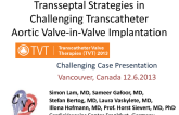 Transseptal Strategies in Challenging Transcatheter Aortic Valve-in-Valve Implantation