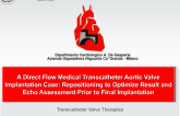 A Direct Flow Medical Transcatheter Aortic Valve Implantation Case: Repositioning to Optimize Result and Echo Assessment Prior to Final Implantation
