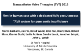 First-in-human case with a dedicated fully percutaneous TAVR system for pure aortic insufficiency