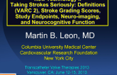 Taking Strokes Seriously: Definitions (VARC 2), Stroke Grading Scores, Study Endpoints, Neuroimaging, and Neurocognitive Function