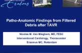 Pathoanatomic Findings from Filtered Debris After TAVR