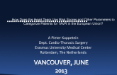How Does the Heart Team Use Risk Scores and Other Parameters to Categorize Patients for TAVR in the European Union?