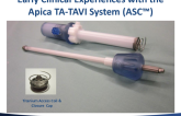 Early Clinical Experiences with the Apica TA-TAVR System