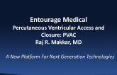 Early Clinical Experiences with the Entourage TA-TAVR System