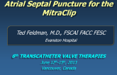 Atrial Septal Puncture for the MitraClip