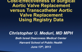 Cost-effectiveness of Surgical AVR vs. TAVR Using Registry Data