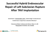 Successful Endovascular Repair of Left Subclavian Rupture After TAVI Implantation