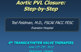 Step-by-Step Approach to Aortic Paravalvular Leak Closure (Including Case Presentations