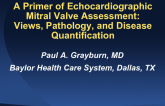 A Primer of Echcardiographic Mitral Valve Assessment: Views, Pathology, and Disease Quantification