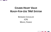The Colibri TAVR System