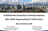 A Mulitcenter Evaluation of Annulus Rupture After TAVR: Preprocedural CT Risk Factors