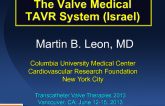 The Valve Medical TAVR System (Israel)