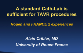 A Standard Cath Lab Is Sufficient for TAVR Procedures: Rouen and FRANCE 2 Experiences