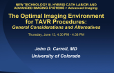 The Optimal Imaging Environment for TAVR Procedures: General Considerations and Alternatives
