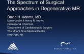 The Spectrum of Surgical Approaches in Degenerative MR: Does Technique, Skill, and Valve Type Matter?