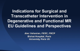 Indications for Surgical and Transcatheter Intervention and in Degenerative and Functional MR: EU Guidelines and Perspectives (and Contrasts with the US)