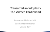 Transatrial Annuloplasty: The Valtech Cardioband