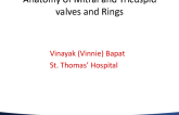 Technology Considerations: Understanding the Anatomy of Mitral Bioprosthetic Surgical Valves and Mitral/Tricuspid Rings