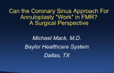 Can the Coronary Sinus Approach or Annuloplasty "Work" in FMR? A Surgical Perspective