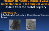 Mitral and Tricuspid Valve-in-Rings from the Global Registry
