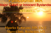 Impact of Function MR on Outcomes in Ischemic and Idiopathic Dilated Cardiomyopathy: Major Culprit or Innocent Bystander?