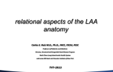 Relational Aspects of LAA Anatomy