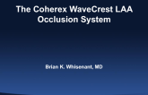 Case Presentation: Wavecrest (Coherex Medical)