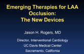 Emerging Therapies for LAA Occlusion: The New Devices