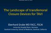 The Landscape of Dedicated Transfemoral Closure Devices for TAVR