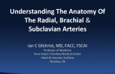 Understanding The Anatomy Of The Radial, Brachial & Subclavian Arteries