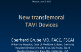New Transfemoral TAVI Devices