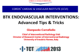 BTK Endovascular Interventions: Advanced Tips & Tricks