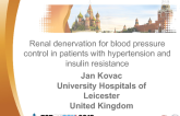 Renal Denervation for Blood Pressure Control in Patients with Hypertension and Insulin Resistance