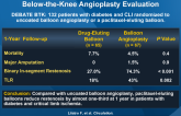 Drug-Eluting Balloon in Peripheral Intervention for Below-the-Knee Angioplasty Evaluation